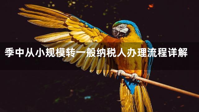 季中从小规模转一般纳税人办理流程详解