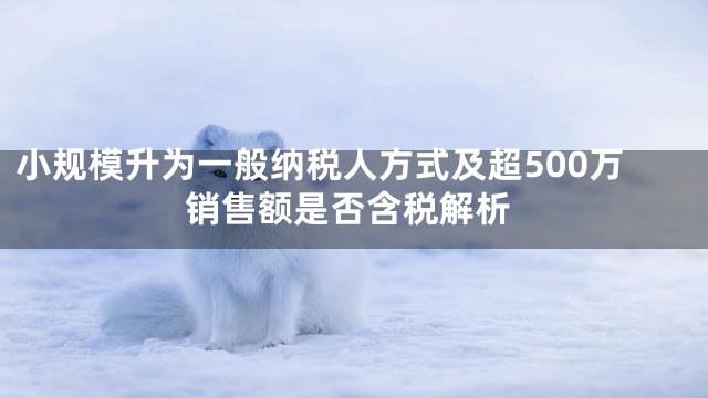 小规模升为一般纳税人方式及超500万销售额是否含税解析