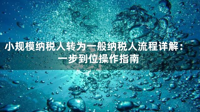 小规模纳税人转为一般纳税人流程详解：一步到位操作指南