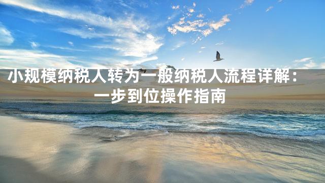 小规模纳税人转为一般纳税人流程详解：一步到位操作指南