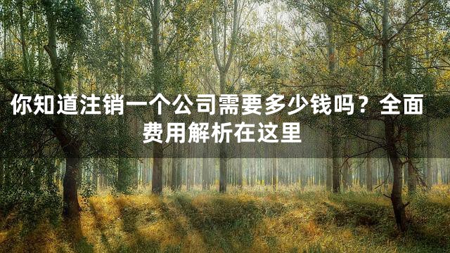 你知道注销一个公司需要多少钱吗？全面费用解析在这里