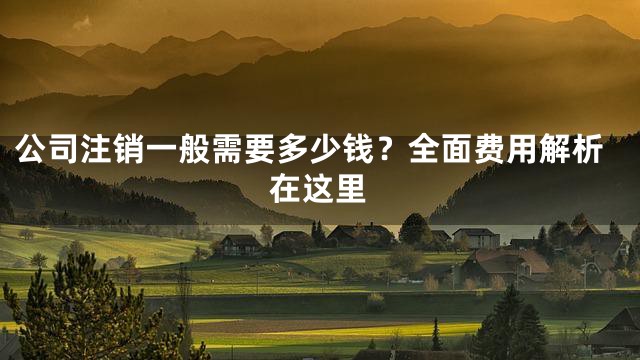 公司注销一般需要多少钱？全面费用解析在这里