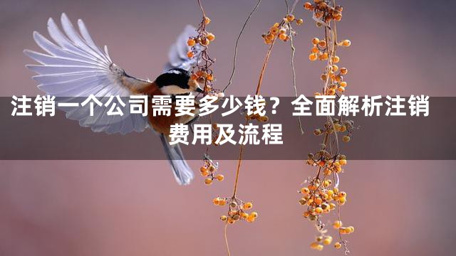注销一个公司需要多少钱？全面解析注销费用及流程