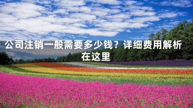 公司注销一般需要多少钱？详细费用解析在这里
