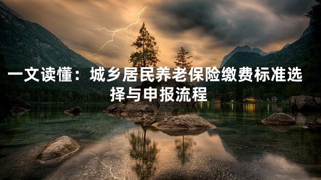 一文读懂：城乡居民养老保险缴费标准选择与申报流程