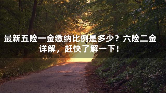 最新五险一金缴纳比例是多少？六险二金详解，赶快了解一下！