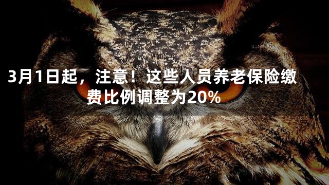 3月1日起，注意！这些人员养老保险缴费比例调整为20%