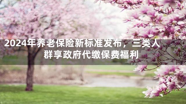 2024年养老保险新标准发布，三类人群享政府代缴保费福利
