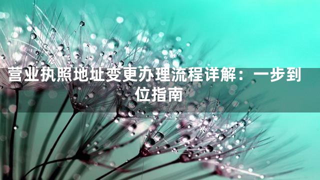 营业执照地址变更办理流程详解：一步到位指南
