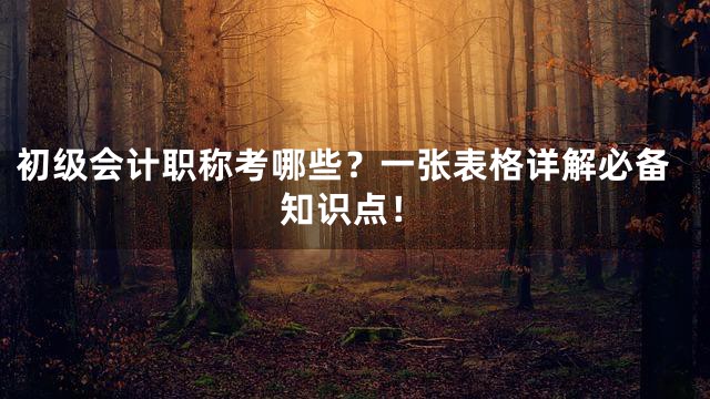 初级会计职称考哪些？一张表格详解必备知识点！