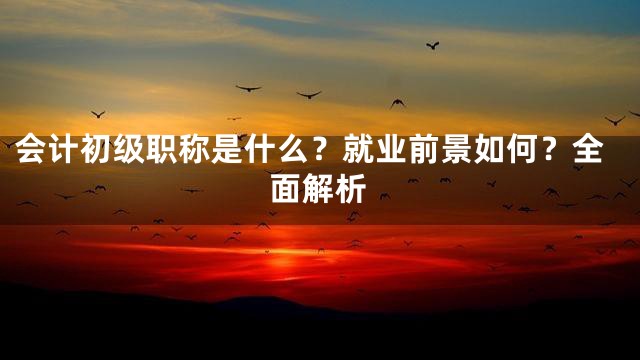 会计初级职称是什么？就业前景如何？全面解析