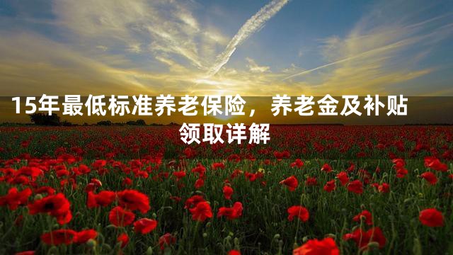 15年最低标准养老保险，养老金及补贴领取详解