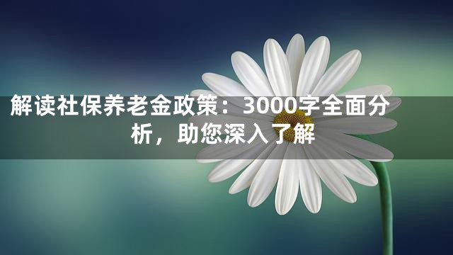 解读社保养老金政策：3000字全面分析，助您深入了解