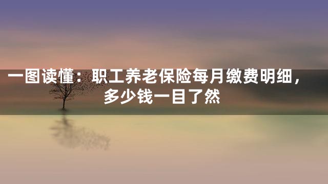 一图读懂：职工养老保险每月缴费明细，多少钱一目了然