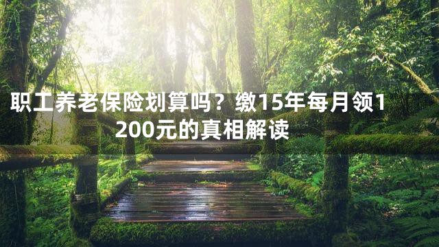 职工养老保险划算吗？缴15年每月领1200元的真相解读