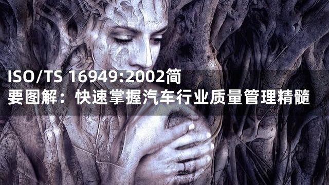 ISO/TS 16949:2002简要图解：快速掌握汽车行业质量管理精髓