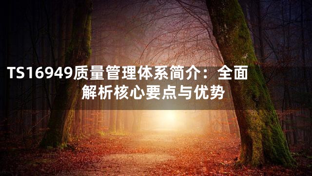 TS16949质量管理体系简介：全面解析核心要点与优势