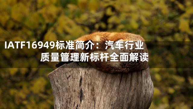 IATF16949标准简介：汽车行业质量管理新标杆全面解读