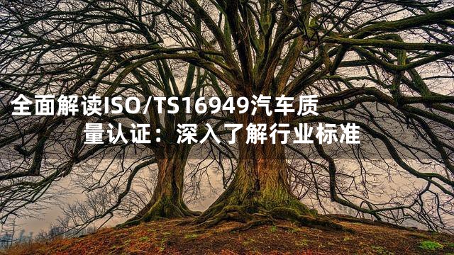 全面解读ISO/TS16949汽车质量认证：深入了解行业标准
