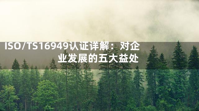ISO/TS16949认证详解：对企业发展的五大益处