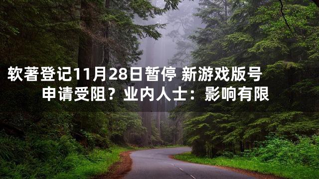 软著登记11月28日暂停 新游戏版号申请受阻？业内人士：影响有限