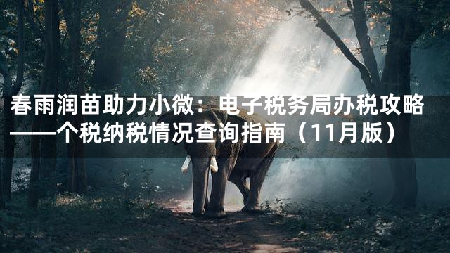 春雨润苗助力小微：电子税务局办税攻略——个税纳税情况查询指南（11月版）