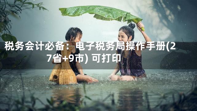 税务会计必备：电子税务局操作手册(27省+9市) 可打印