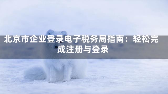 北京市企业登录电子税务局指南：轻松完成注册与登录