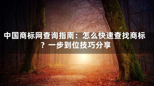 中国商标网查询指南：怎么快速查找商标？一步到位技巧分享
