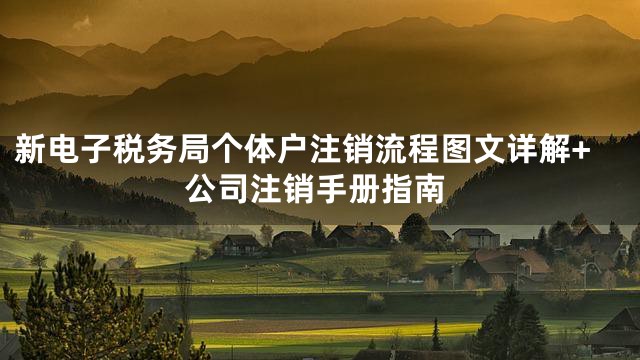 新电子税务局个体户注销流程图文详解+公司注销手册指南