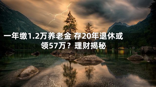 一年缴1.2万养老金 存20年退休或领57万？理财揭秘