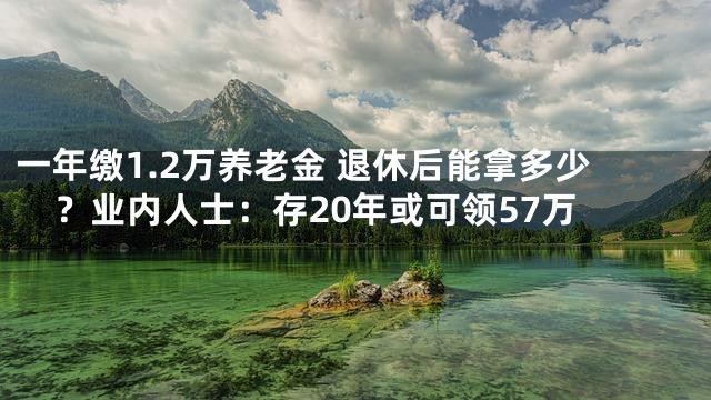 一年缴1.2万养老金 退休后能拿多少？业内人士：存20年或可领57万