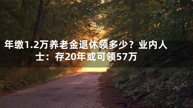 年缴1.2万养老金退休领多少？业内人士：存20年或可领57万