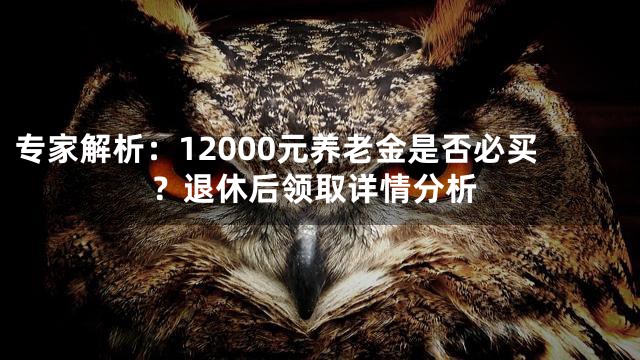 专家解析：12000元养老金是否必买？退休后领取详情分析
