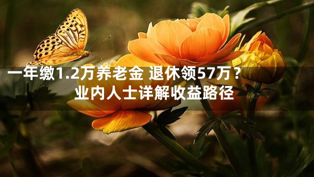 一年缴1.2万养老金 退休领57万？业内人士详解收益路径