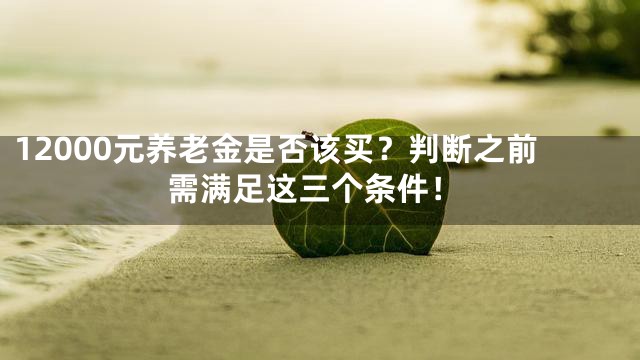 12000元养老金是否该买？判断之前需满足这三个条件！