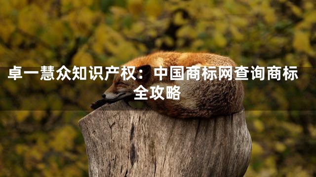 卓一慧众知识产权：中国商标网查询商标全攻略