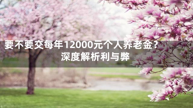 要不要交每年12000元个人养老金？深度解析利与弊