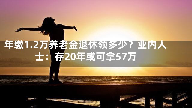 年缴1.2万养老金退休领多少？业内人士：存20年或可拿57万