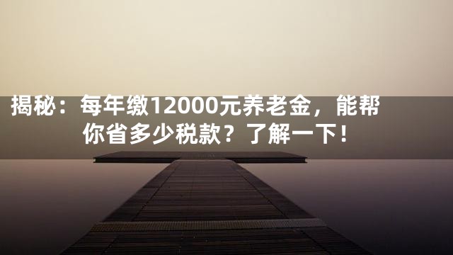 揭秘：每年缴12000元养老金，能帮你省多少税款？了解一下！