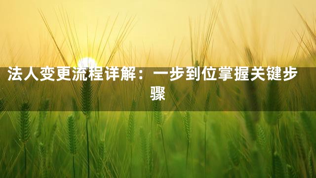 法人变更流程详解：一步到位掌握关键步骤