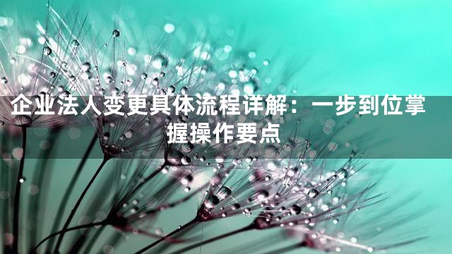 企业法人变更具体流程详解：一步到位掌握操作要点