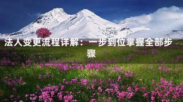 法人变更流程详解：一步到位掌握全部步骤