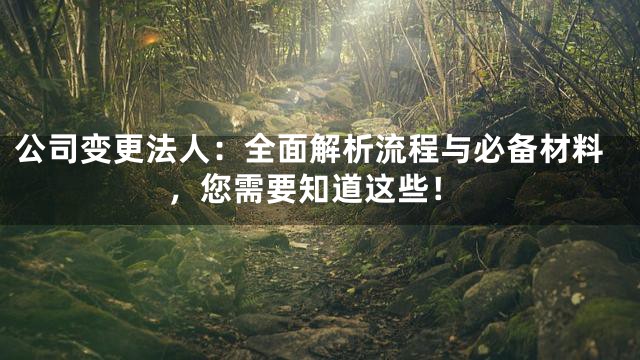 公司变更法人：全面解析流程与必备材料，您需要知道这些！