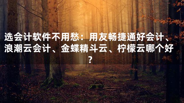 选会计软件不用愁：用友畅捷通好会计、浪潮云会计、金蝶精斗云、柠檬云哪个好？