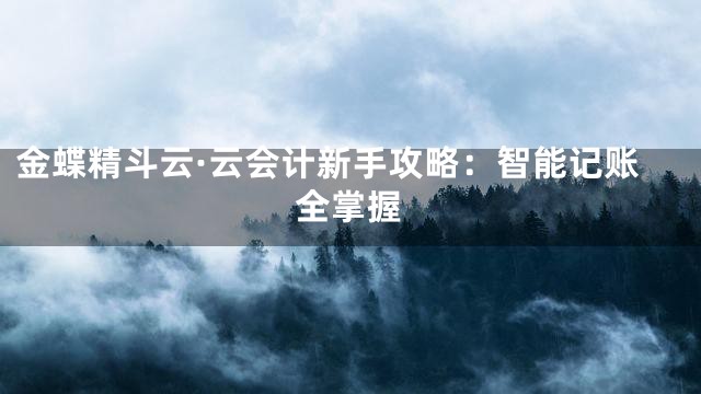 金蝶精斗云·云会计新手攻略：智能记账全掌握