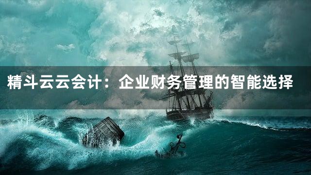 精斗云云会计：企业财务管理的智能选择