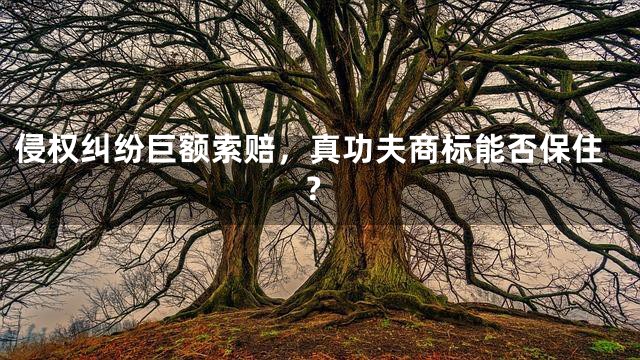 侵权纠纷巨额索赔，真功夫商标能否保住？