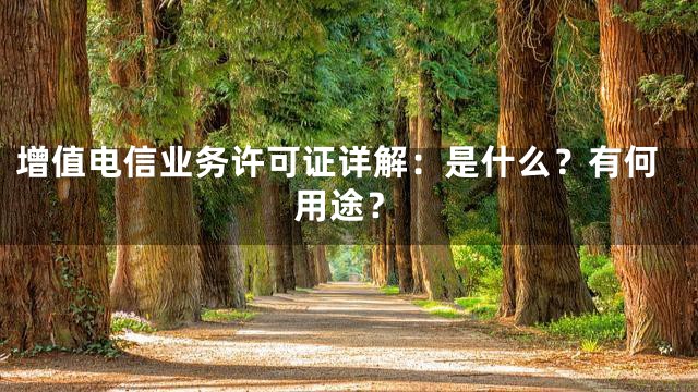 增值电信业务许可证详解：是什么？有何用途？