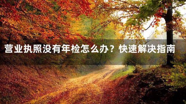 营业执照没有年检怎么办？快速解决指南